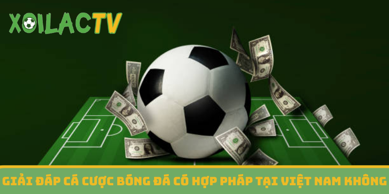 Giải đáp cá cược bóng đá có hợp pháp tại Việt Nam không