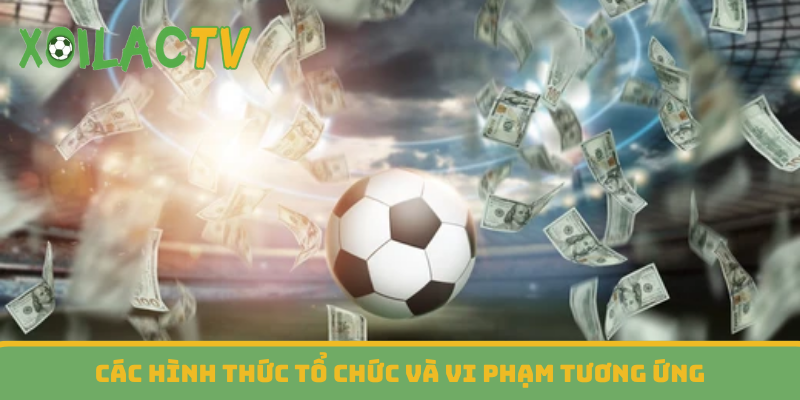 Các hình thức tổ chức và vi phạm tương ứng