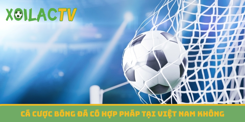 Cá cược bóng đá có hợp pháp tại Việt Nam không