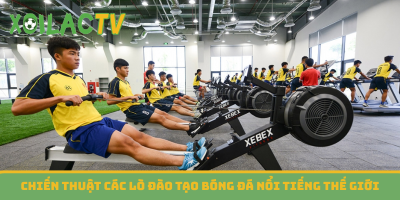 Chiến thuật các lò đào tạo bóng đá nổi tiếng thế giới