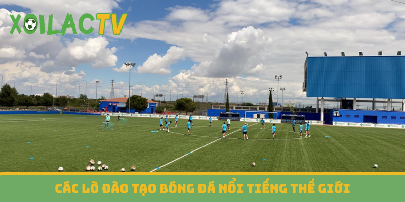 Các lò đào tạo bóng đá nổi tiếng thế giới