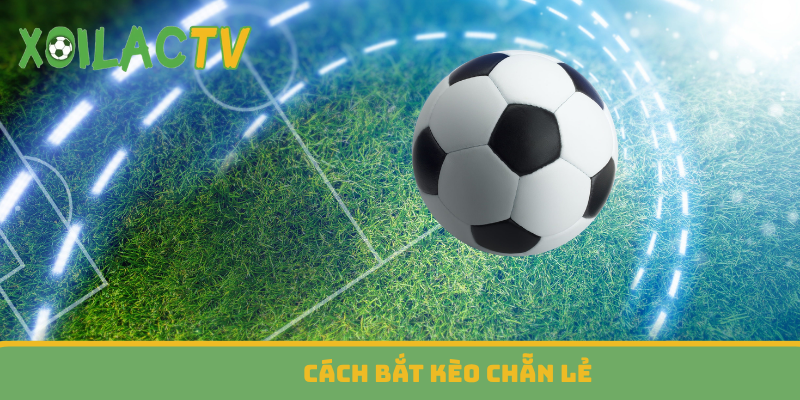 Cách bắt kèo chẵn lẻ