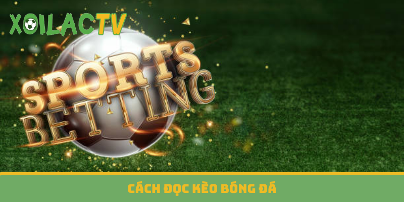 Cách đọc kèo bóng đá