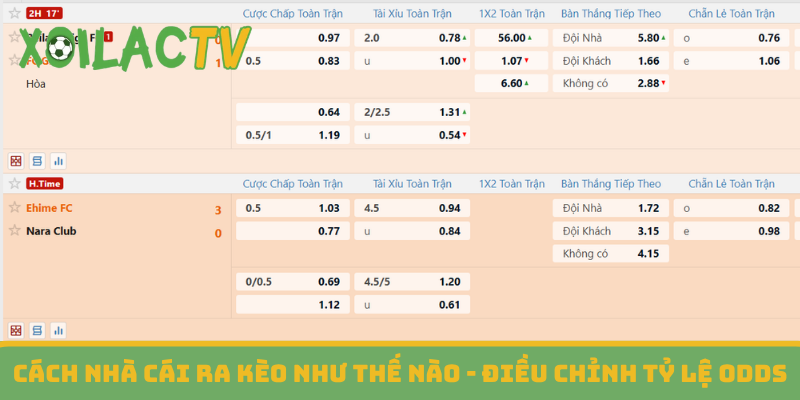 Cách nhà cái ra kèo như thế nào - Điều chỉnh tỷ lệ odds