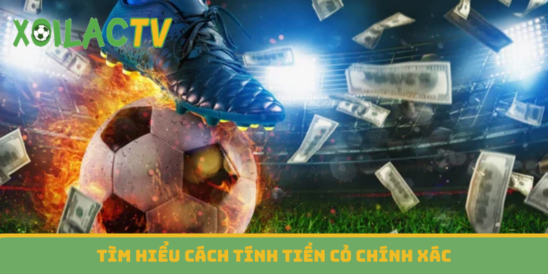 Tìm hiểu cách tính tiền cỏ chính xác