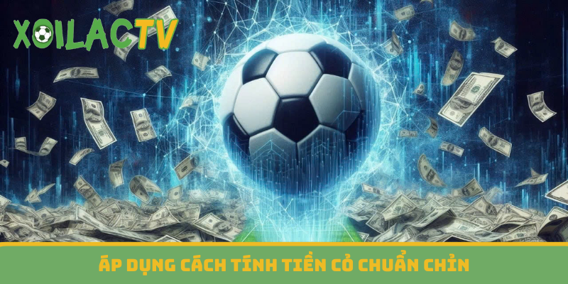 Áp dụng cách tính tiền cỏ chuẩn chỉn