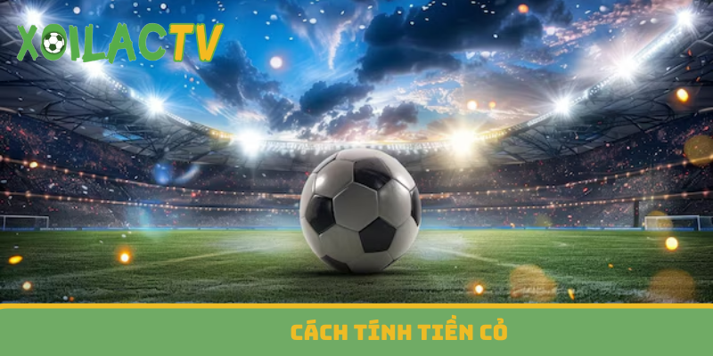 Cách tính tiền cỏ