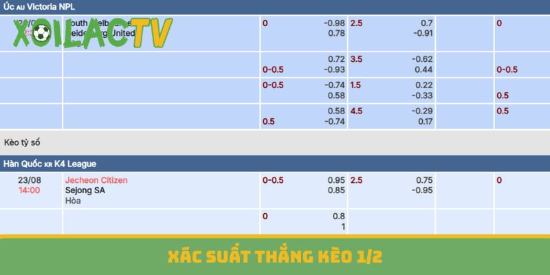 Xác suất thắng kèo 1/2