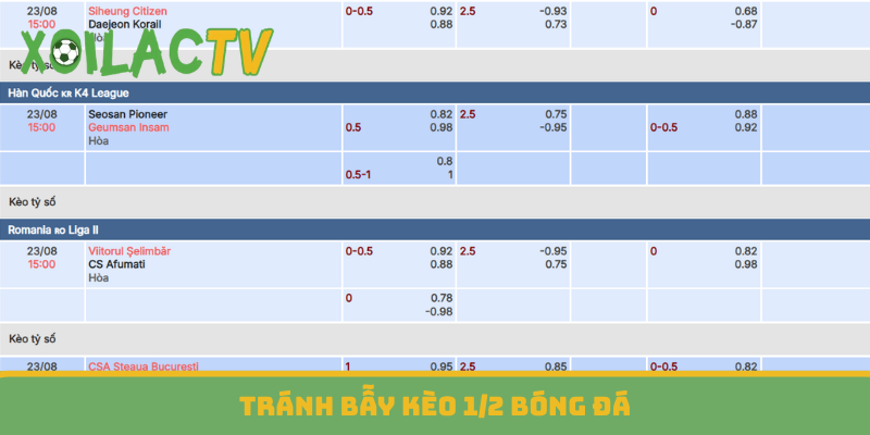 Tránh bẫy kèo 1/2 bóng đá