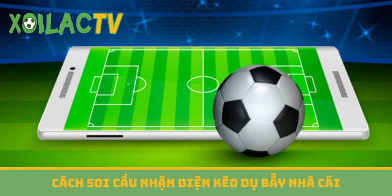 Cách soi cầu nhận diện kèo dụ bẫy nhà cái