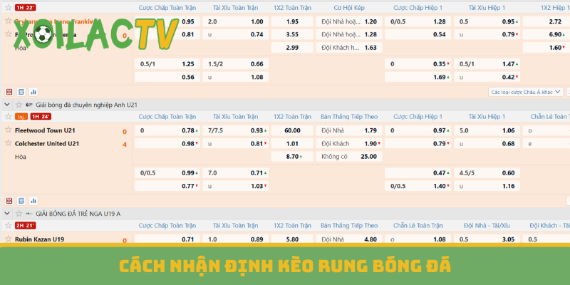 Cách nhận định kèo rung bóng đá