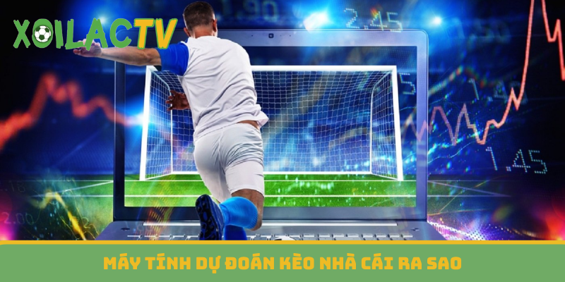 Máy tính dự đoán kèo nhà cái ra sao