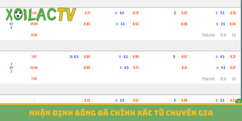 Nhận định bóng đá chính xác từ chuyên gia