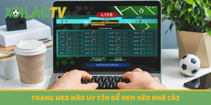 Trang web nào uy tín để xem kèo nhà cái